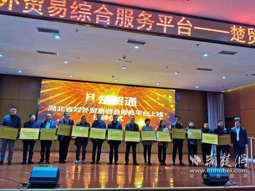 湖北省对外贸易综合服务平台正式上线